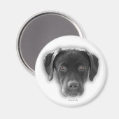 Labrador Retriever Magnet マグネット (正面/裏面)