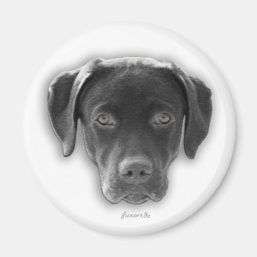 Labrador Retriever Magnet マグネット (正面)