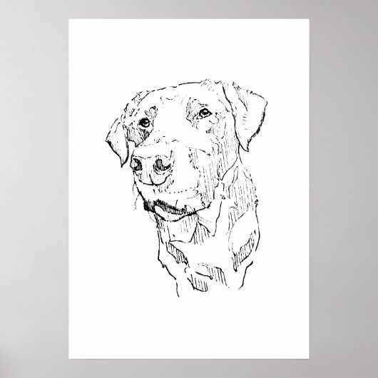 Labrador Retriever Poster Art, Wall Print ポスター (正面)