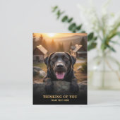 Labrador Retriever Thinking Of You Postcard ポストカード (スタンド正面)