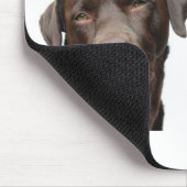 labradors マウスパッド (コーナー)