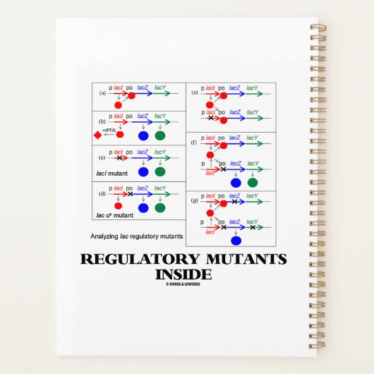 LAC補完内の調節変異体 プランナー手帳 (裏面)