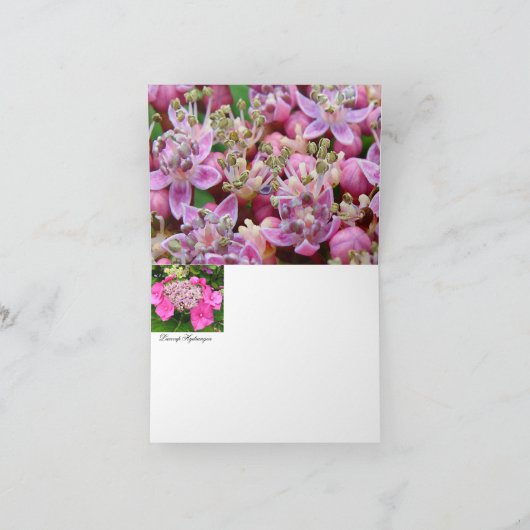 Lacecapのアジサイのメッセージカード カード (内部)