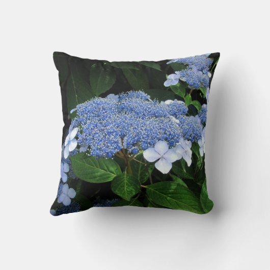 Lacecapのアジサイの~の枕 クッション (裏面)