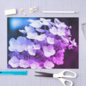 Lacecap Hydrangea白黒ティントデコップページ 薄葉紙 (クラフト)