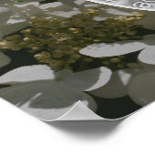 Lacecap Hydrangea Flower Create Your Own Photo ポスター (角)