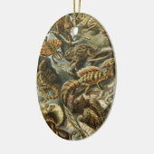 Lacertilia by Ernst Haeckelヴィンテージリザード動物 セラミックオーナメント (左)