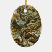 Lacertilia by Ernst Haeckelヴィンテージリザード動物 セラミックオーナメント (正面)