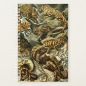 Lacertilia, lizards by Ernst Haeckelプランナー プランナー手帳 (正面)