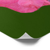 LACEWINGS ～ポスター ポスター (角)