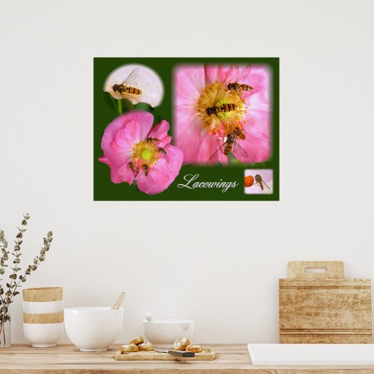 LACEWINGS ～ポスター ポスター (キッチン)