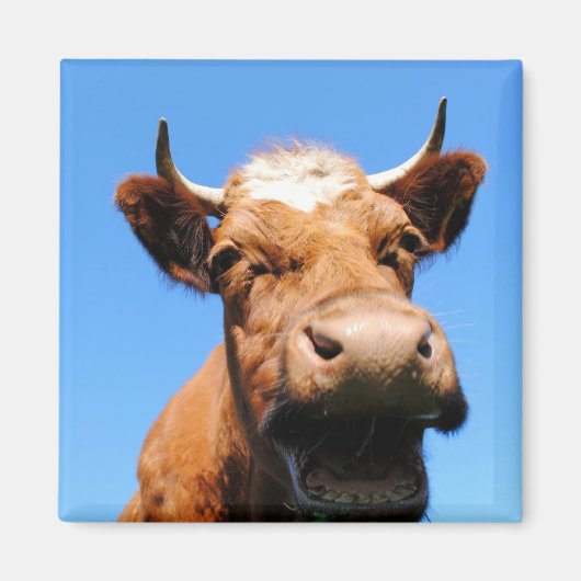 Lachende Kuh マグネット (正面)