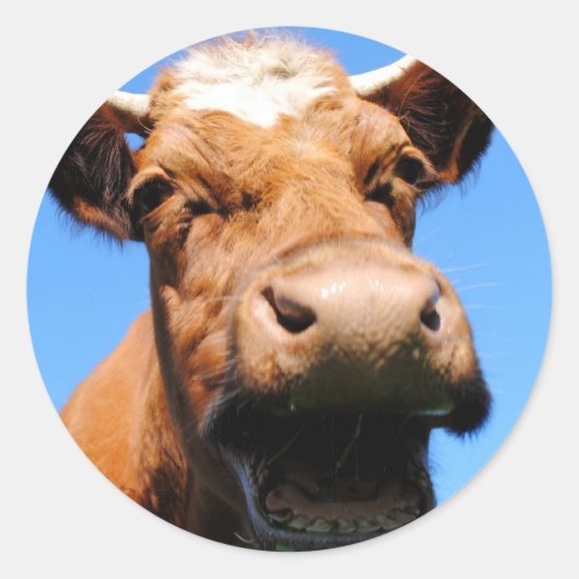 Lachende Kuh ラウンドシール (正面)