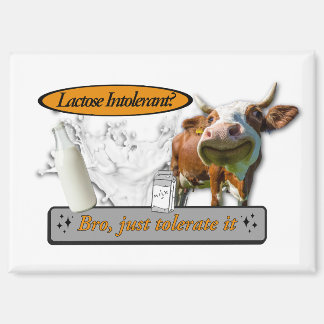 Lactose Intolerant? Just Tolerate It マグネット
