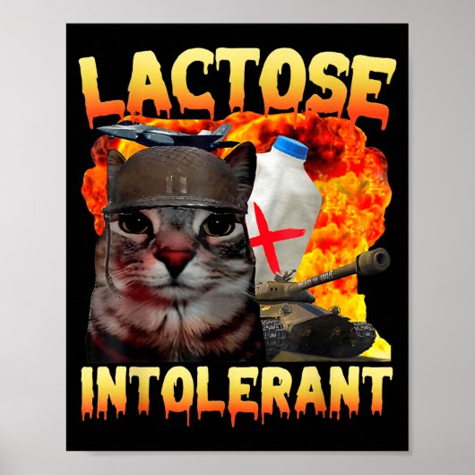 Lactose Intolerant Silly Cat Meme Funny Saying Cat ポスター (正面)