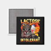 Lactose Intolerant Silly Cat Meme Funny Saying Cat マグネット (正面/裏面)