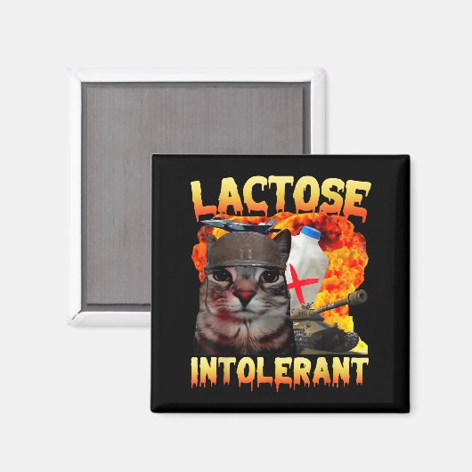 Lactose Intolerant Silly Cat Meme Funny Saying Cat マグネット (正面/裏面)