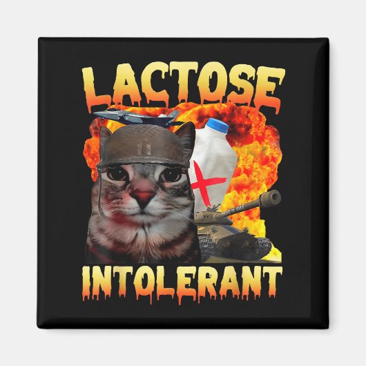 Lactose Intolerant Silly Cat Meme Funny Saying Cat マグネット (正面)
