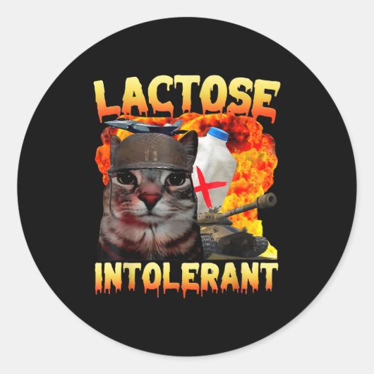 Lactose Intolerant Silly Cat Meme Funny Saying Cat ラウンドシール (正面)