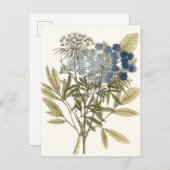 Lacy Leaves - Flowers and Greenery ポストカード (正面/裏面)