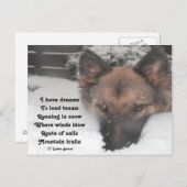 Ladee Bassetの夢の詩を持っているはがき ポストカード (正面/裏面)