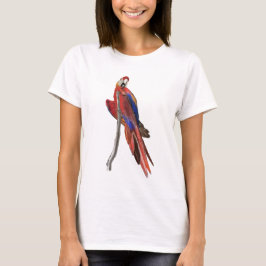Ladies t-shirt with scarlet macaw design tシャツ