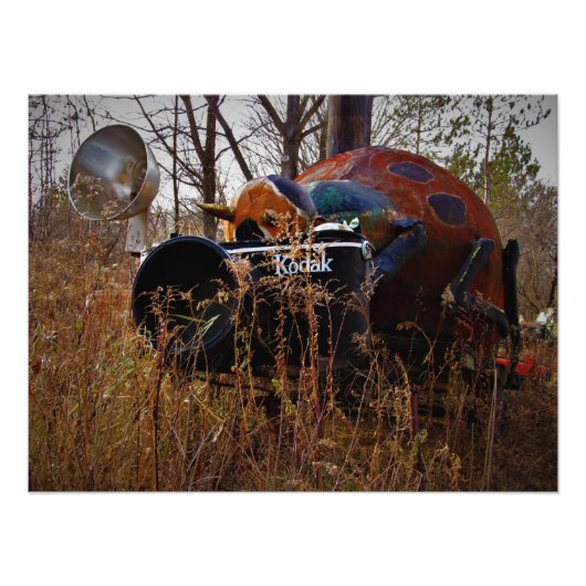 「Lady Behind the Camera」フォトプリント フォトプリント (正面)