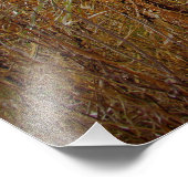 「Lady Behind the Camera」フォトプリント フォトプリント (角)