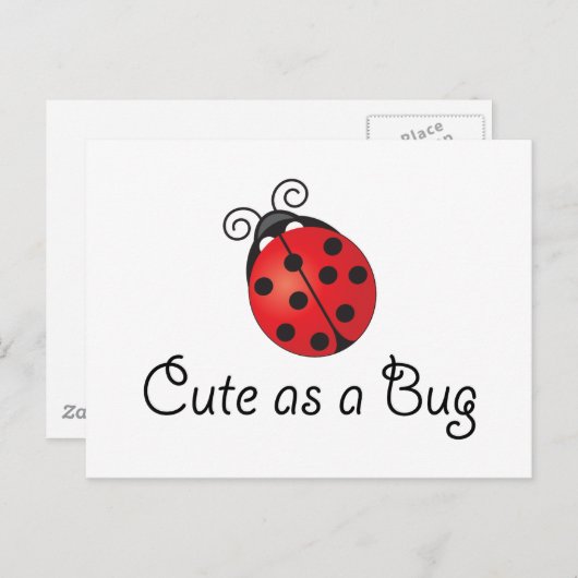 Lady Bug - Cute as a Bug ポストカード (正面/裏面)
