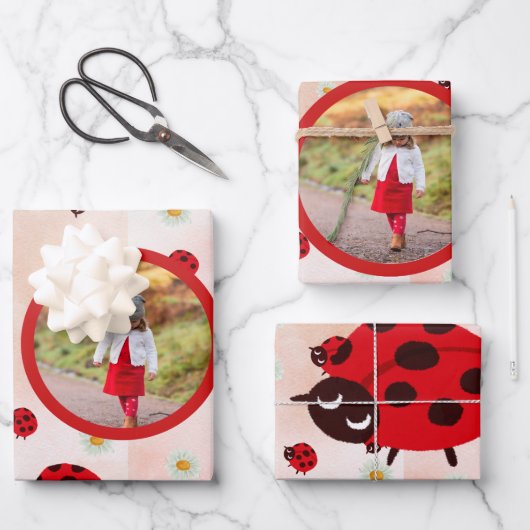 lady bug party photo ラッピングペーパーシート (正面)