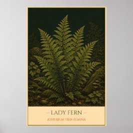 Lady Fern – Vintage Botanical Illustration ポスター