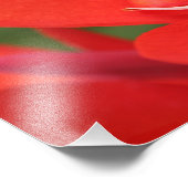 "Lady in Red"レッドカンナリリー写真プリント フォトプリント (角)