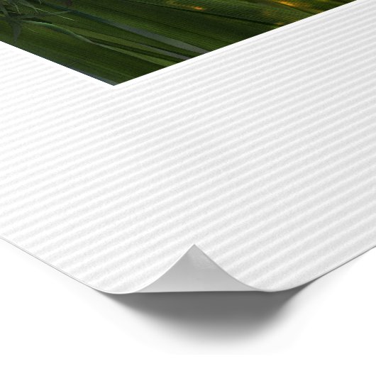 Lady of Dreams – ポスター (角)