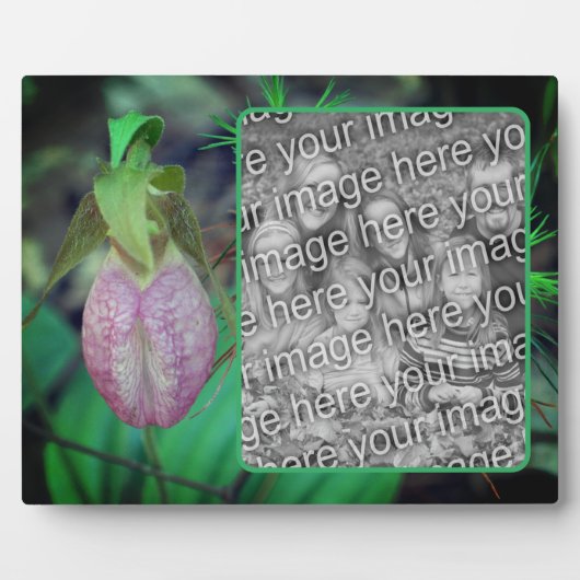 Lady Slipper Orchid独自の写真を作成 フォトプラーク (正面)