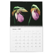 Lady Slipper Orchid Flowers カレンダー (1月 2027)