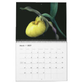 Lady Slipper Orchid Flowers カレンダー (3月 2027)
