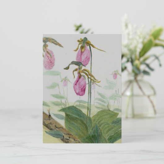 Lady Slippers Flat Card (スタンド正面)