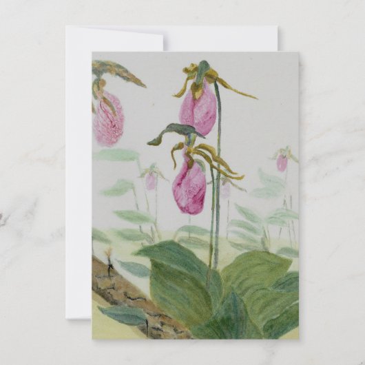 Lady Slippers Flat Card (正面)