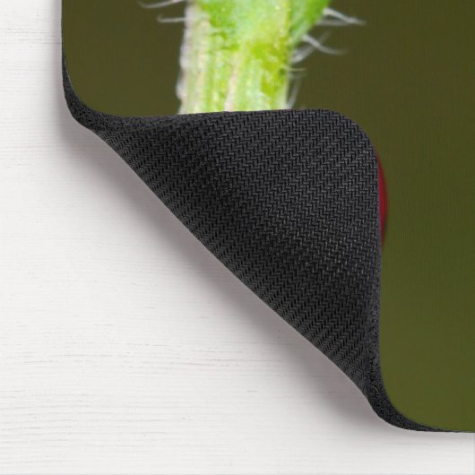 Ladybeetleのmousepad マウスパッド (コーナー)
