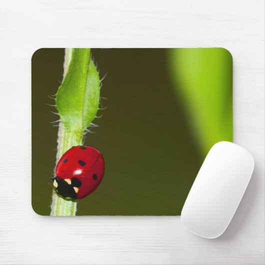 Ladybeetleのmousepad マウスパッド (マウス)
