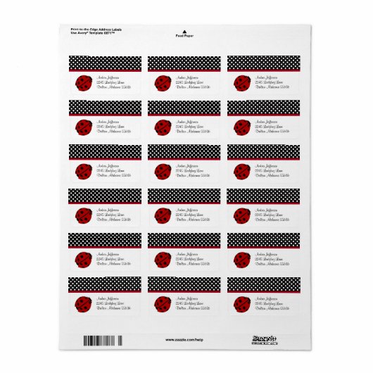 LadybugとPolka-dot住所 シール (フルシート)