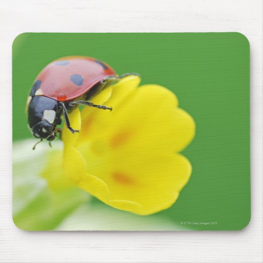 Ladybugの終了 マウスパッド (正面)