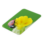 Ladybugの終了 マグネット (左側)