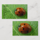 Ladybugカスタマイズ可能な名刺 名刺 (正面/裏面)