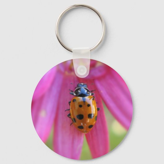 Ladybugキーチェーン キーホルダー (正面)