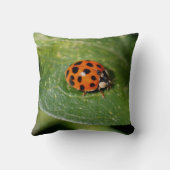 Ladybugクローズアップ自然 クッション (裏面)