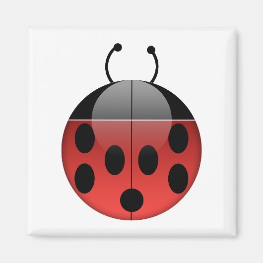 Ladybugシリーズ1角磁石 マグネット (正面)