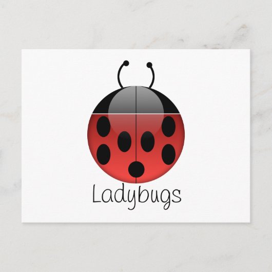 Ladybugシリーズ2はがき ポストカード (正面)