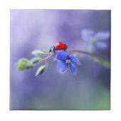 LADYBUGセラミックタイル タイル (正面)