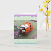 Ladybugノートカード カード (黄色い花)